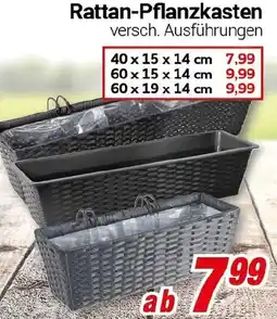 CENTERSHOP Rattan-Pflanzkasten Angebot