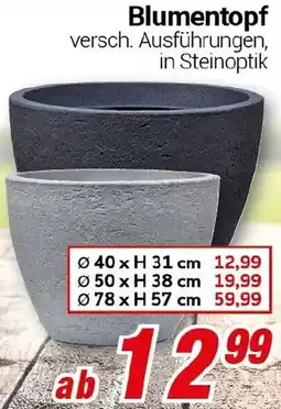 CENTERSHOP Blumentopf Angebot
