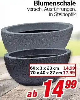 CENTERSHOP Blumenschale Angebot
