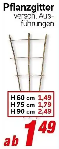 CENTERSHOP Pflanzgitter Angebot