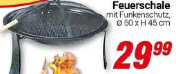 CENTERSHOP Feuerschale Angebot