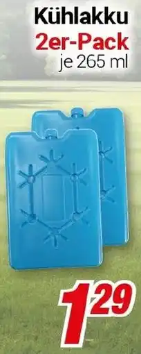 CENTERSHOP Kühlakku Angebot