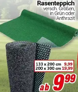 CENTERSHOP Rasenteppich Angebot
