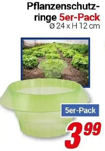CENTERSHOP Pflanzenschutzringe Angebot