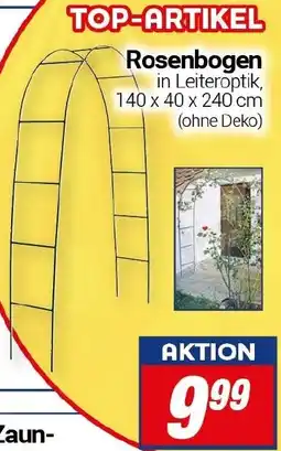 CENTERSHOP Rosenbogen Angebot