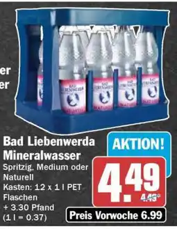 HIT BAD LIEBENWERDA Mineralwasser Angebot