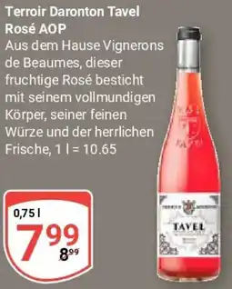 Globus Terroir Daronton Tavel Rosé AOP Angebot