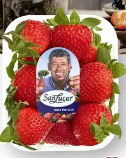 Scheck-in-Center SanLucar Erdbeeren Angebot