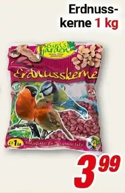 CENTERSHOP Erdnusskerne Angebot