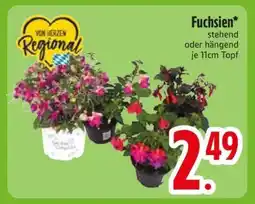 Edeka Fuchsien Angebot