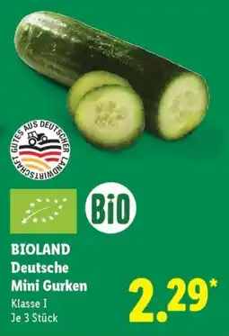 Lidl BIOLAND Deutsche Mini Gurken Angebot