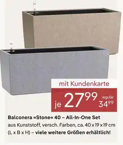 Pflanzen Kölle Balconera stone 40 – all-in-one set Angebot