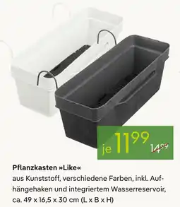Pflanzen Kölle Pflanzkasten like Angebot