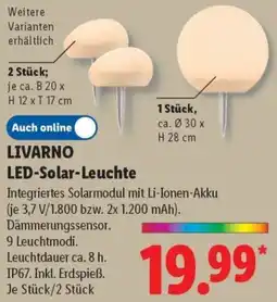 Lidl LIVARNO LED-Solar-Leuchte Angebot