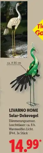 Lidl LIVARNO HOME Solar-Dekovogel Angebot