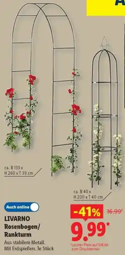 Lidl LIVARNO Rosenbogen/ Rankturm Angebot
