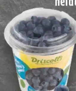 Edeka Driscoll's Kulturheidelbeeren Angebot