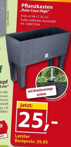 Sonderpreis Baumarkt Pflanzkasten ,,Rato Case High" Angebot