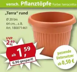 Sonderpreis Baumarkt versch. Pflanztöpfe „Terra" rund Angebot