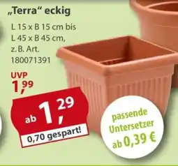 Sonderpreis Baumarkt versch. Pflanztöpfe ,,Terra" eckig Angebot
