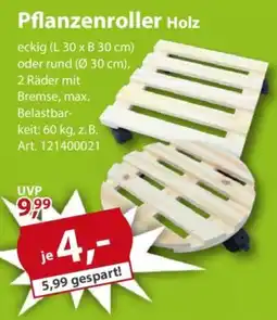 Sonderpreis Baumarkt Pflanzenroller Holz Angebot