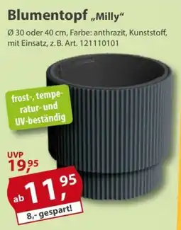 Sonderpreis Baumarkt Blumentopf ,,Milly" Angebot