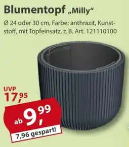 Sonderpreis Baumarkt Blumentopf ,,Milly" Angebot