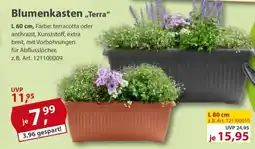 Sonderpreis Baumarkt Blumenkasten,,Terra" Angebot