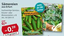 Sonderpreis Baumarkt Sämereien aus Erfurt Angebot