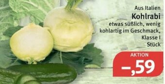 Feneberg Kohlrabi Angebot