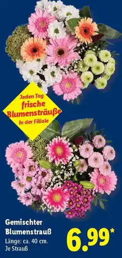 Lidl Gemischter Blumenstrauß Angebot