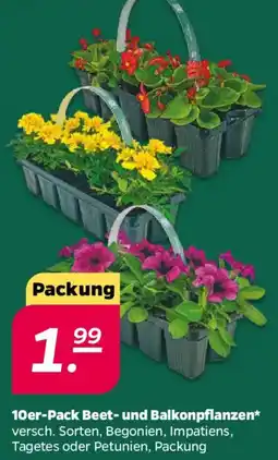 NETTO 10er-Pack Beet- und Balkonpflanzen Angebot