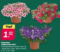 NETTO Petunien/ Calibrachoa Mix Angebot