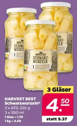 NETTO HARVEST BEST Schwarzwurzeln Angebot