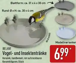Aldi Nord BELAVI Vogel- und Insektentränke Angebot