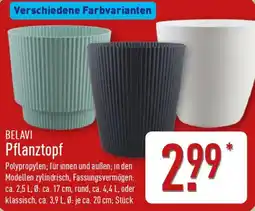 Aldi Nord BELAVI Pflanztopf Angebot
