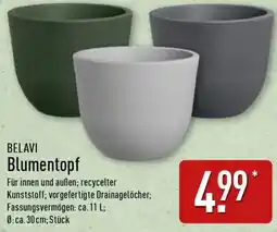 Aldi Nord BELAVI Blumentopf Angebot