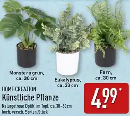 Aldi Nord HOME CREATION Künstliche Pflanze Angebot