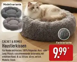 Aldi Nord CACHET & ROMEO Haustierkissen Angebot