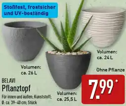 Aldi Nord BELAVI Pflanztopf Angebot