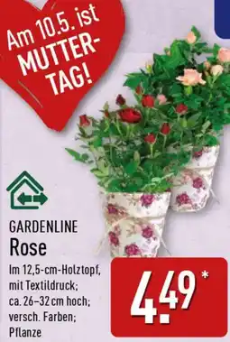 Aldi Nord GARDENLINE Rose Angebot