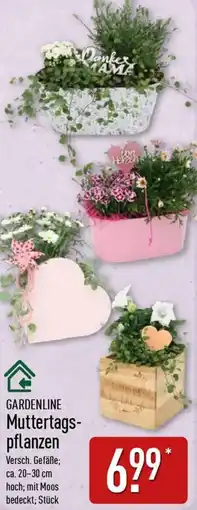 Aldi Nord GARDENLINE Muttertagspflanzen Angebot