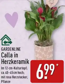 Aldi Nord GARDENLINE Calla in Herzkeramik Angebot