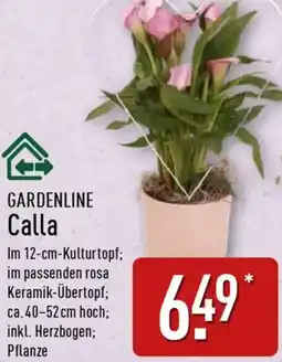 Aldi Nord GARDENLINE Calla Angebot