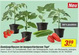 toom Baumarkt Gemüsepflanzen im kompostierbarem Topf Angebot