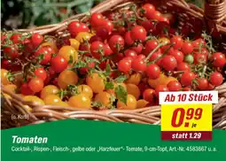 toom Baumarkt Tomaten Angebot