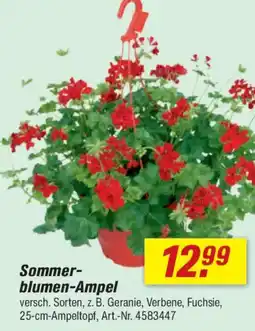 toom Baumarkt Sommerblumen-Ampel Angebot