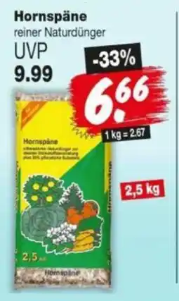 Repo Markt Hornspäne Angebot