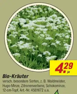 toom Baumarkt Bio-Kräuter Angebot