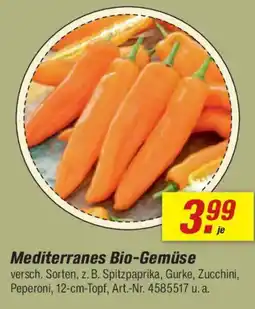 toom Baumarkt Mediterranes Bio-Gemüse Angebot